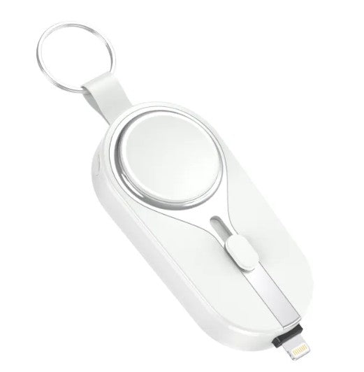 🎁 Keychain Power Bank (100% off)