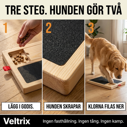 Sluta stressa och slåss! – Klötskräddel för hundar