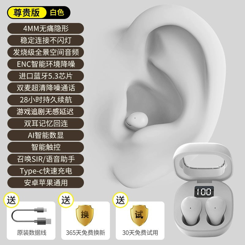 🎁 Mini Pro4SS Invisible True Wireless Bluetooth Earbuds (100% off)